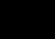 Diz