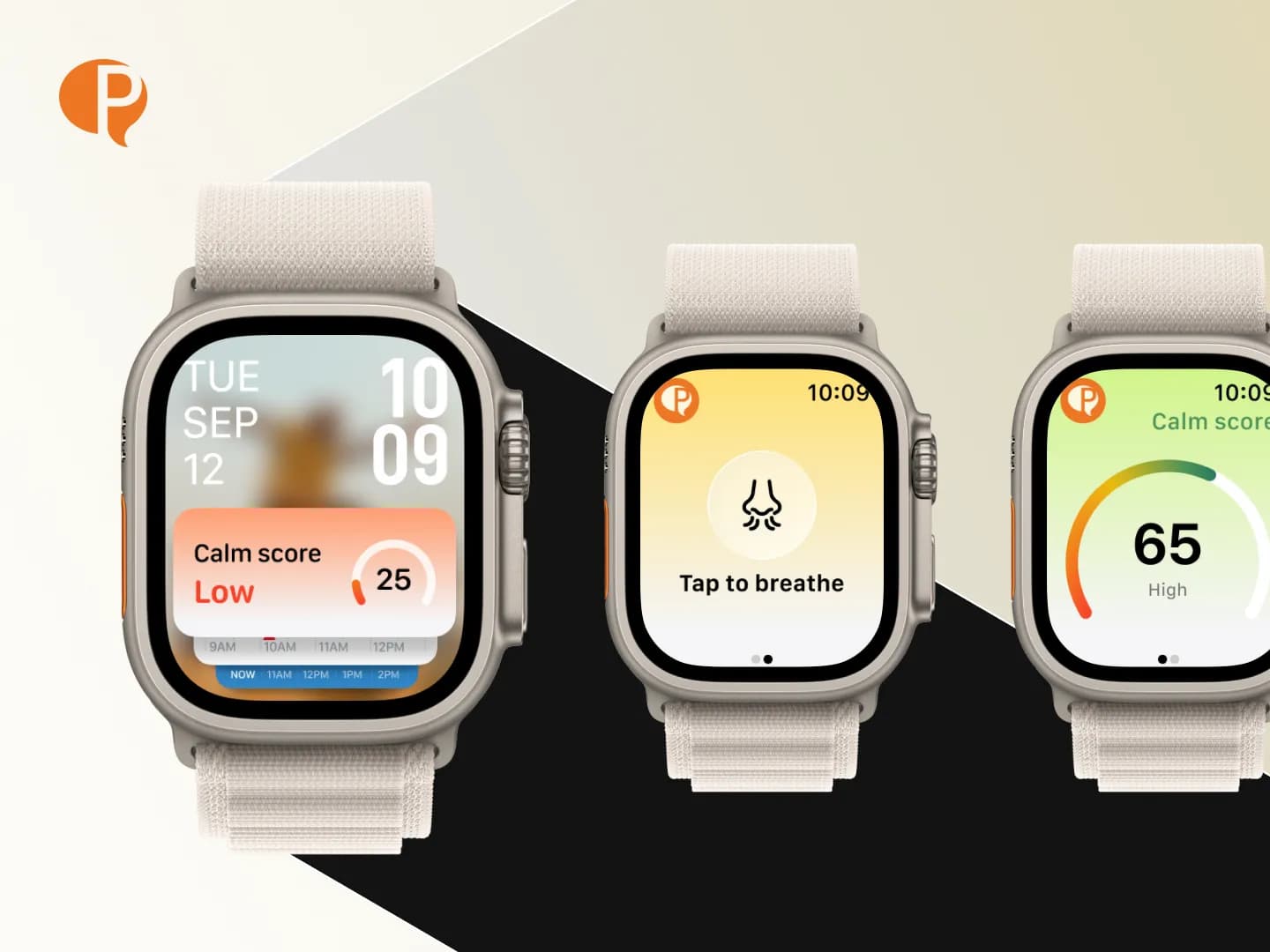 Pulse Coaching Watch